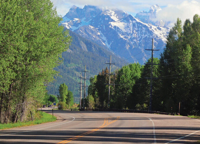 Death on Our Roadways: Most Common Roadkill Animals